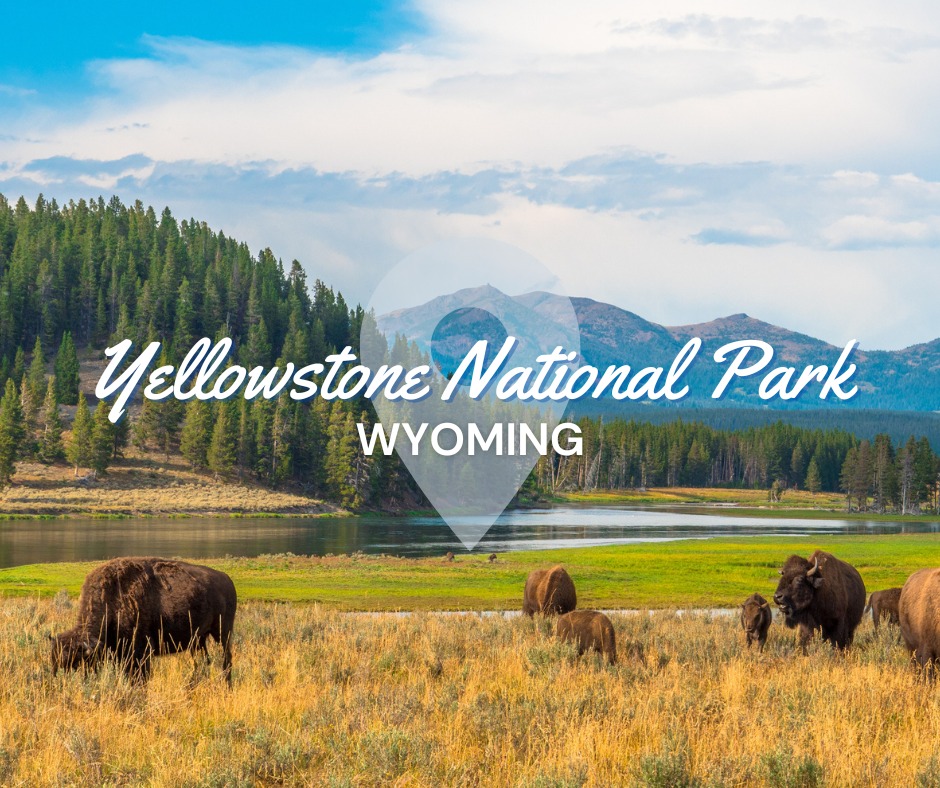 Yellowstone National Park